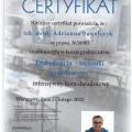 Powiększ obraz: certificate 1