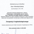 Powiększ obraz: certificate 1
