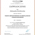 Powiększ obraz: certificate 1