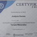 Powiększ obraz: certificate 7