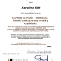 Powiększ obraz: certificate 35