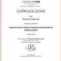 Powiększ obraz: certificate 8