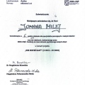 Powiększ obraz: certificate 6
