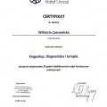 Powiększ obraz: certificate 5