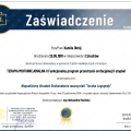 Powiększ obraz: certificate 23