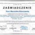 Powiększ obraz: certificate 3