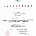 Powiększ obraz: certificate 3
