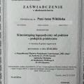 Powiększ obraz: certificate 8
