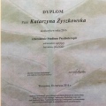 Powiększ obraz: certificate 1