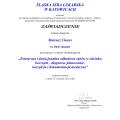 Powiększ obraz: certificate 17
