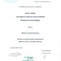 Powiększ obraz: certificate 8