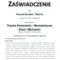 Powiększ obraz: certificate 2
