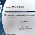 Powiększ obraz: certificate 44
