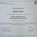 Powiększ obraz: certificate 15
