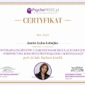 Powiększ obraz: certificate 3