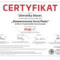 Powiększ obraz: certificate 5