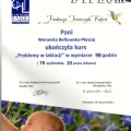 Powiększ obraz: certificate 26