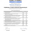 Powiększ obraz: certificate 7