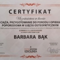 Powiększ obraz: certificate 8