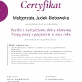 Powiększ obraz: certificate 11