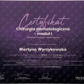 Powiększ obraz: certificate 6