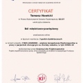 Powiększ obraz: certificate 4