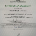 Powiększ obraz: certificate 11