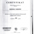 Powiększ obraz: certificate 4