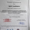 Powiększ obraz: certificate 3