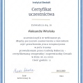 Powiększ obraz: certificate 1