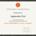 Powiększ obraz: certificate 37