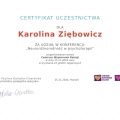 Powiększ obraz: certificate 10