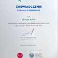 Powiększ obraz: certificate 2