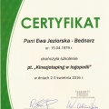 Powiększ obraz: certificate 3