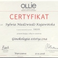 Powiększ obraz: certificate 10