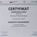 Powiększ obraz: certificate 7