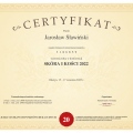 Powiększ obraz: certificate 11