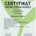 Powiększ obraz: certificate 9