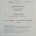 Powiększ obraz: certificate 3