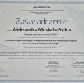 Powiększ obraz: certificate 45