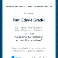 Powiększ obraz: certificate 2