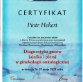 Powiększ obraz: certificate 14