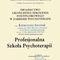 Powiększ obraz: certificate 2