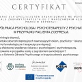 Powiększ obraz: certificate 6