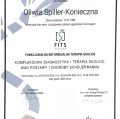 Powiększ obraz: certificate 4