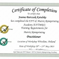 Powiększ obraz: certificate 24
