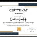 Powiększ obraz: certificate 5