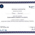 Powiększ obraz: certificate 12