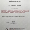 Powiększ obraz: certificate 4