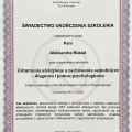 Powiększ obraz: certificate 1